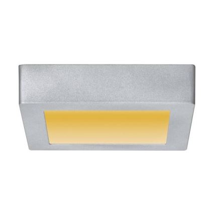 Paulmann 79791 - LED/10,2W Stropní svítidlo CARPO 230V 2300-3000K