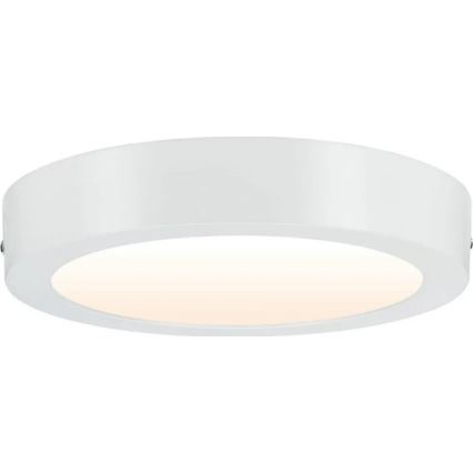 Paulmann 79795 - LED/13W Stropní svítidlo CARPO 230V 2300/2500/3000K