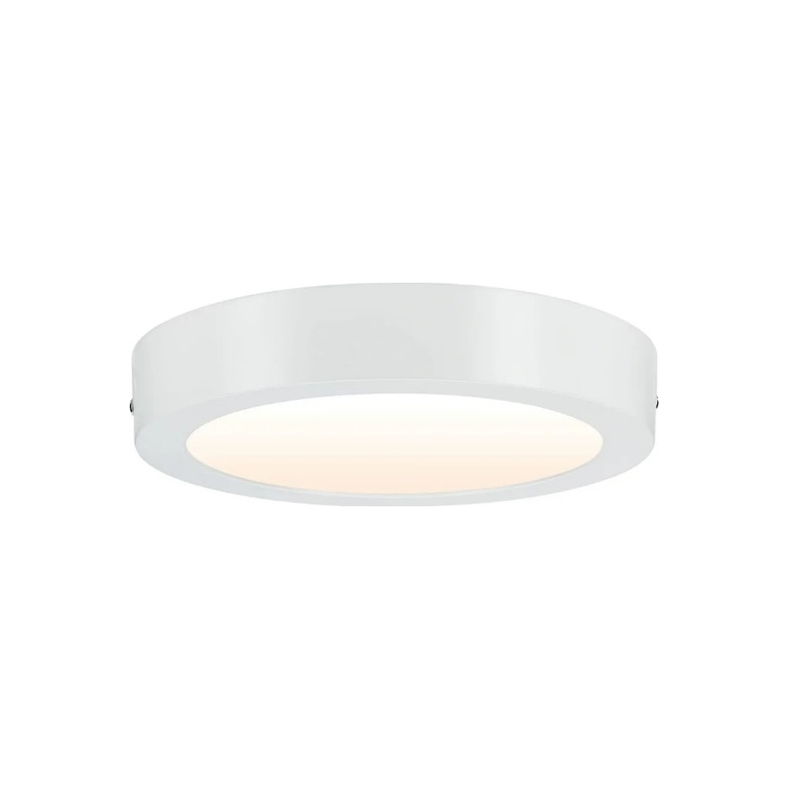 Paulmann 79795 - LED/13W Stropní svítidlo CARPO 230V 2300/2500/3000K