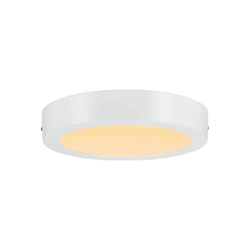 Paulmann 79795 - LED/13W Stropní svítidlo CARPO 230V 2300/2500/3000K