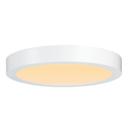 Paulmann 79799 - LED/19W Stropní svítidlo CARPO 230V 2300/2500/3000K