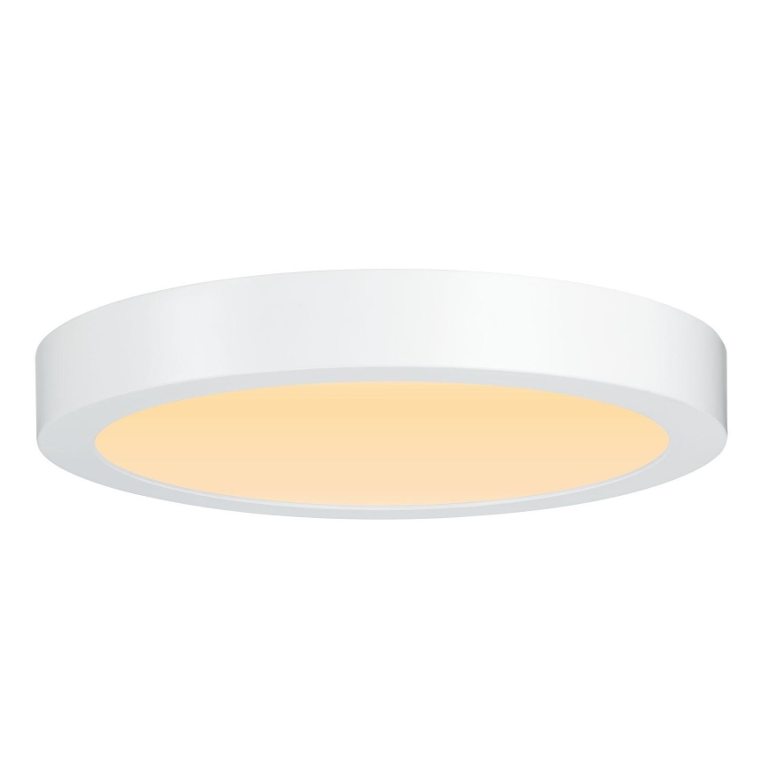 Paulmann 79799 - LED/19W Stropní svítidlo CARPO 230V 2300/2500/3000K