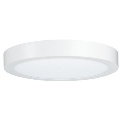 Paulmann 79799 - LED/19W Stropní svítidlo CARPO 230V 2300/2500/3000K