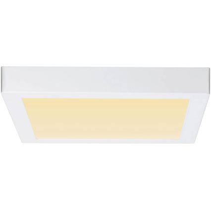 Paulmann 79801 - LED/13W Stropní svítidlo CARPO 230V 2300/2500/3000K