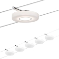 Paulmann 94109 - SADA 5xLED/4,3W Kompletní lankový systém MAC 230V bílá