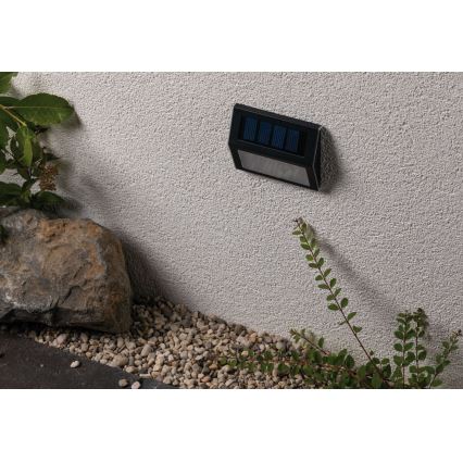 Paulmann 94234 - LED/0,05W IP44 Venkovní solární svítidlo se senzorem DAYTON 1,2V 400 mAh