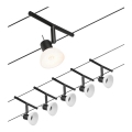 Paulmann 94450 - SADA 5xGU5,3/10W Kompletní lankový systém SHEELA 230V černá