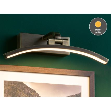 Paulmann 95559 - LED/6W Obrazové svítidlo BENTO 230V 30 cm mosaz