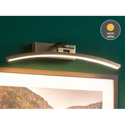 Paulmann 95560 - LED/8,5W Obrazové svítidlo BENTO 230V 40 cm mosaz