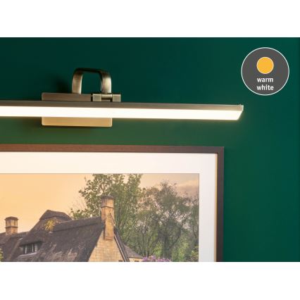 Paulmann 95570 - LED/11W Obrazové svítidlo RENAN 230V 60 cm mosaz