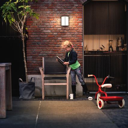 Philips 16464/93/16 - LED venkovní nástěnné svítidlo MYGARDEN STOCK 1xLED/6W/230V