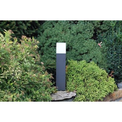 Philips 16935/93/16 - Venkovní lampa ECOMOODS BRANCHE 1xE27/20W/230V