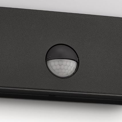 Philips 17274/93/16 - LED venkovní osvětlení s čidlem MYGARDEN RACCOON 1xLED/3W IP44