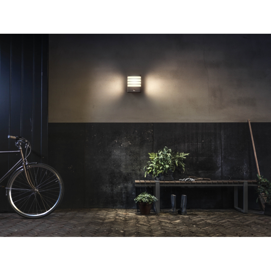 Philips 17274/93/16 - LED venkovní osvětlení s čidlem MYGARDEN RACCOON 1xLED/3W IP44