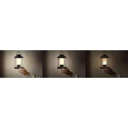 Philips 17360/33/P0 - LED Stmívatelná přenosná zahradní lampa ABELIA LED/3W/5V IP44
