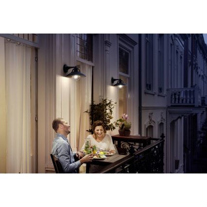 Philips 17381/30/PN - Venkovní nástěnné svítidlo COMORANT 1xE27/42W/230V IP44