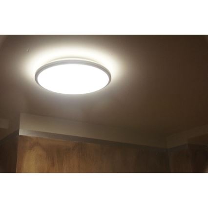 Philips 30804/87/16 - LED Stropní svítidlo MYLIVING TWIRL 30K LED/11W/230V