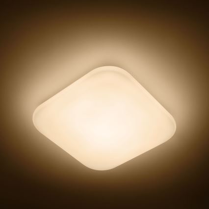 Philips - LED stropní svítidlo 1xLED/17W/230V 2700K