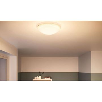 Philips - LED stropní svítidlo 1xLED/22W/230V