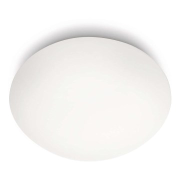 Philips 32005/31/16 - Koupelnové stropní svítidlo MYBATHROOM SPA 1xE27/60W/230V IP44