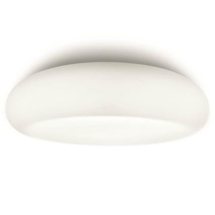 Philips 32067/31/16 - Koupelnové stropní svítidlo MYBATHROOM MIST 2xE27/15W/230V