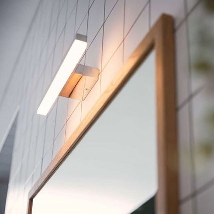 Philips 34341/11/P0 - LED koupelnové osvětlení zrcadla MYBATHROOM PLUNGE 2xLED/4,5W/230V
