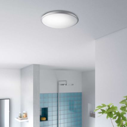 Philips 34346/87/P0 - LED koupelnové stropní svítidlo MYBATHROOM GUPPY LED/12W/230V