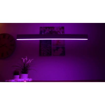 Philips -  LED RGBW Stmívatelný lustr na lanku Hue ENSIS White And Color Ambiance 2xLED/39W/230V