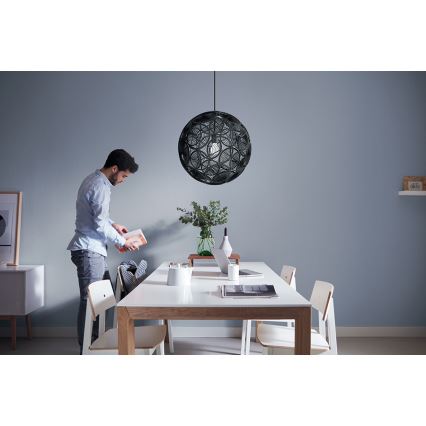 Philips 40913/30/PN - Závěsné svítidlo MYLIVING RING 1xE27/60W/230V