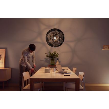 Philips 40913/30/PN - Závěsné svítidlo MYLIVING RING 1xE27/60W/230V