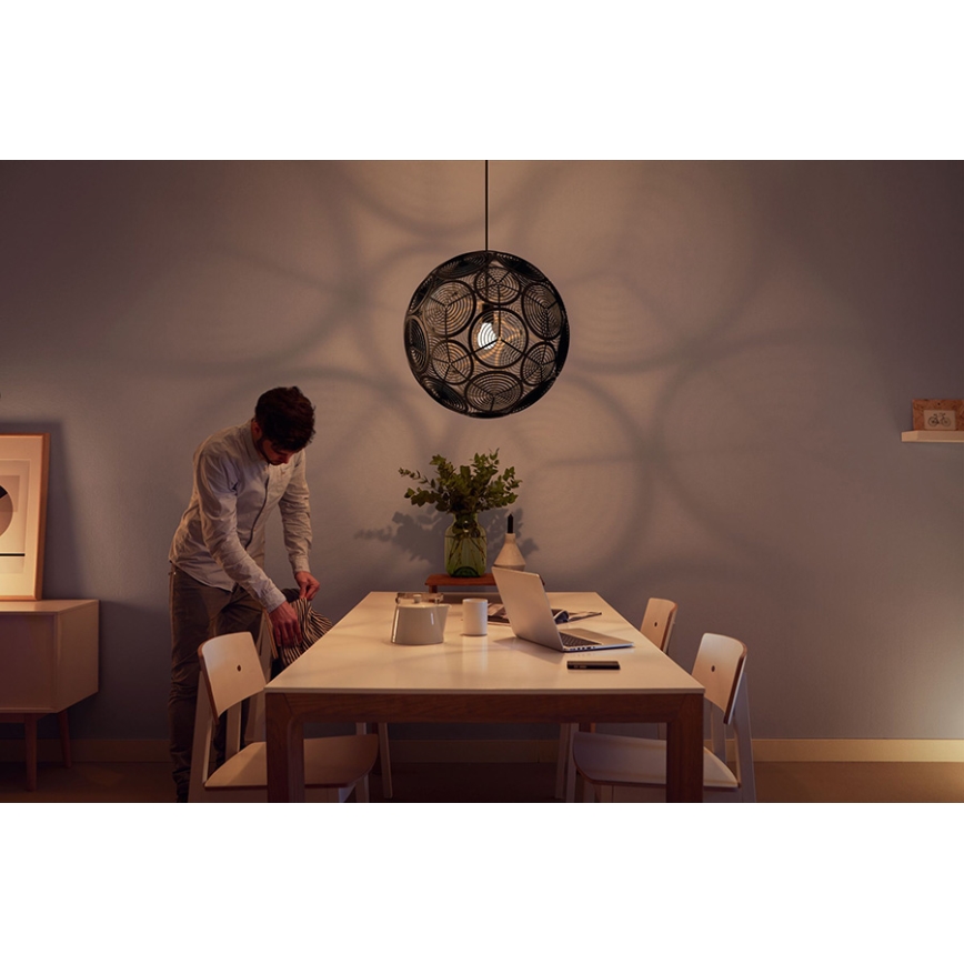 Philips 40913/30/PN - Závěsné svítidlo MYLIVING RING 1xE27/60W/230V