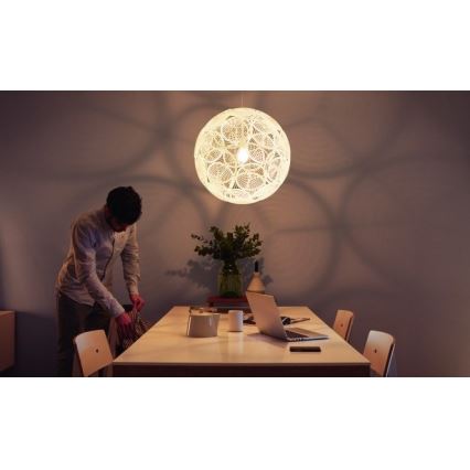 Philips 40913/31/PN - Stropní závěsné svítidlo MYLIVING RING E27/60W/230V