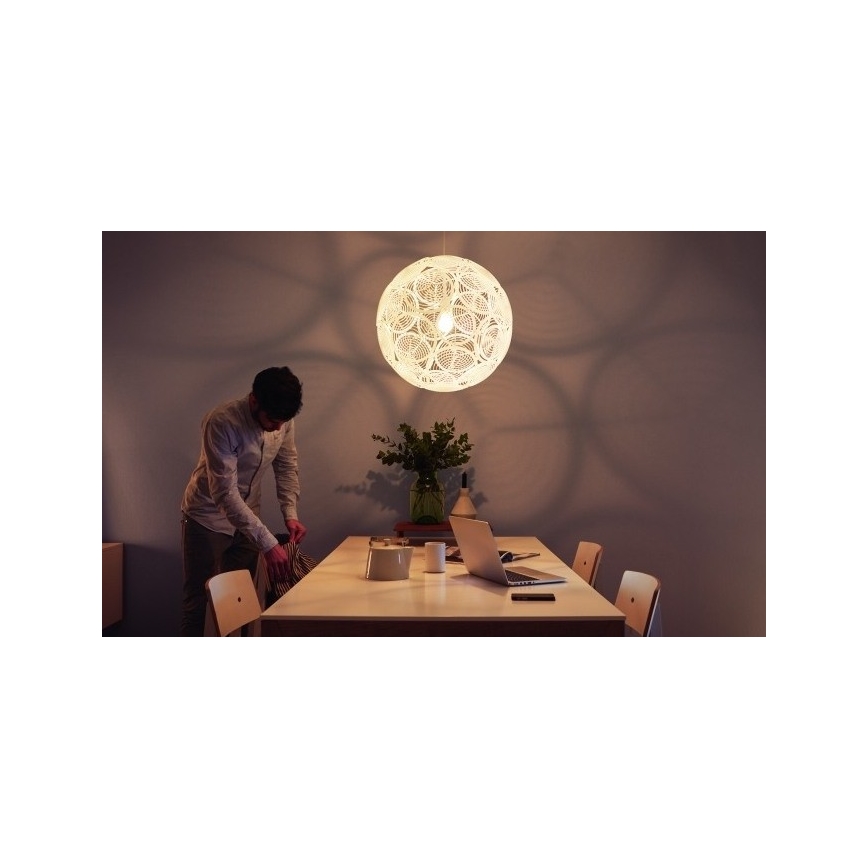 Philips 40913/31/PN - Stropní závěsné svítidlo MYLIVING RING E27/60W/230V