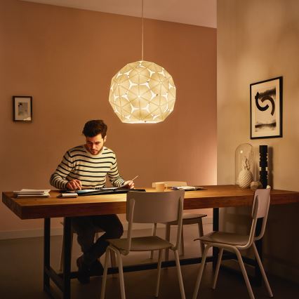 Philips 40914/21/PN - Stropní závěsné svítidlo MYLIVING CORKWOOD E27/60W/230V