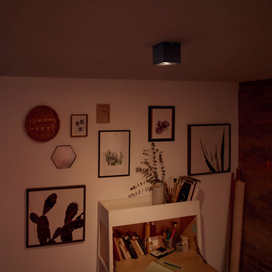 Philips 50491/30/P0 - LED bodové svítidlo MYLIVING BOX 1xLED/4,5W/230V