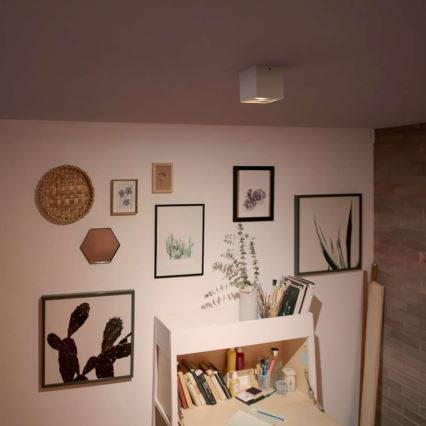 Philips 50491/31/P0 - LED bodové svítidlo MYLIVING BOX 1xLED/4,5W/230V