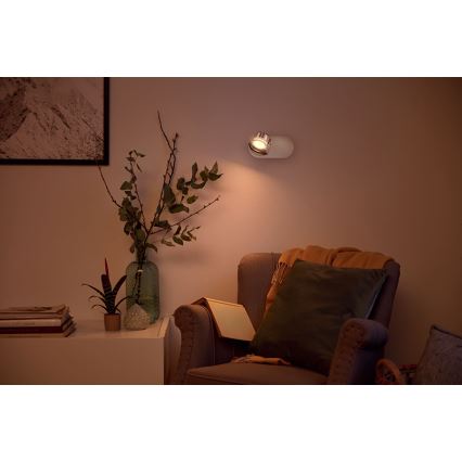 Philips - LED bodové svítidlo 1xLED/4,5W/230V