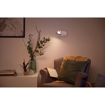 Philips - LED bodové svítidlo 1xLED/4,5W/230V