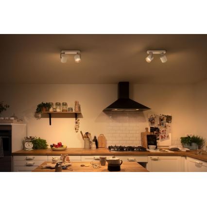 Philips - LED Stmívatelné bodové svítidlo 2xLED/4.5W/230V