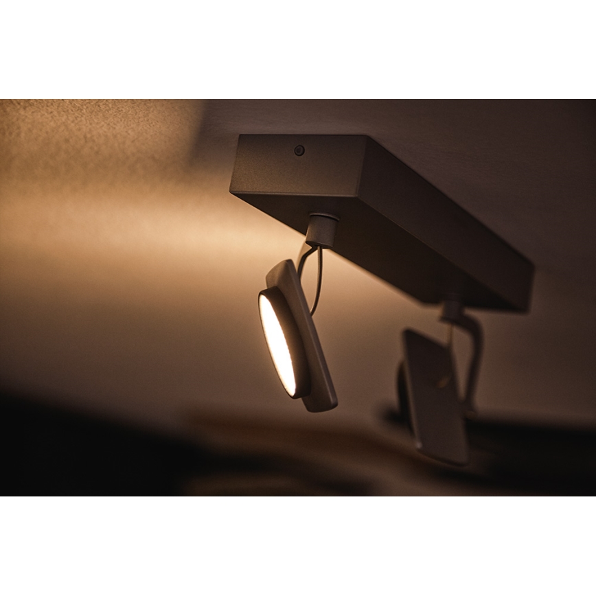 Philips 53192/48/P0 - LED Bodové svítidlo MILLENNIUM 2xLED/4,5W/230V