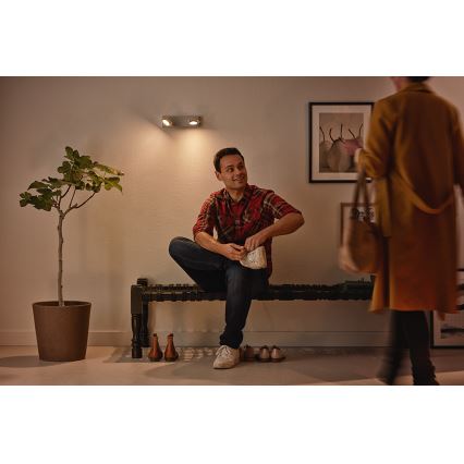 Philips 53192/48/P0 - LED Bodové svítidlo MILLENNIUM 2xLED/4,5W/230V