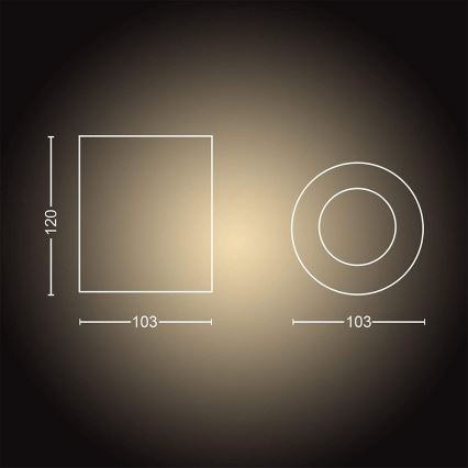 Philips - LED Stmívatelné stropní svítidlo Hue PILLAR 1xGU10/5W/230V