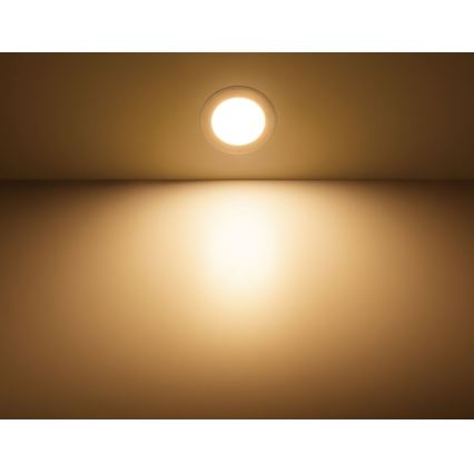 Philips 59831/31/P3 - LED podhledové svítidlo HADRON 1xLED/12W/230V