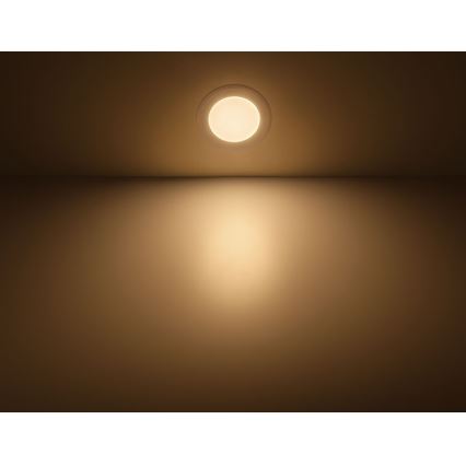 Philips 59831/31/P3 - LED podhledové svítidlo HADRON 1xLED/12W/230V