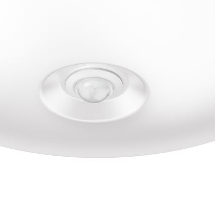 Philips 62234/31/P0 - LED senzorové osvětlení MYLIVING MAUVE PIR 4xLED/4W/230V