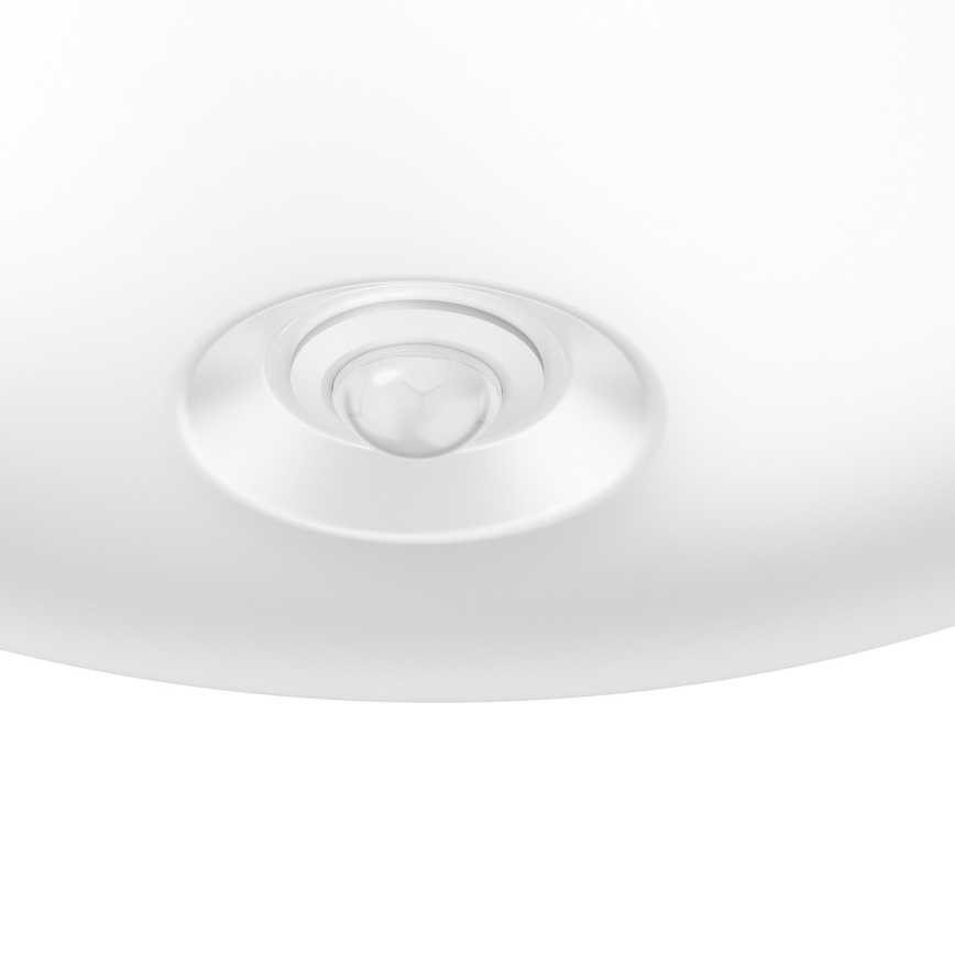 Philips 62234/31/P0 - LED senzorové osvětlení MYLIVING MAUVE PIR 4xLED/4W/230V
