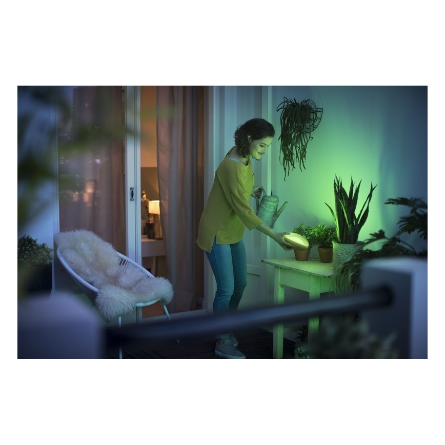 Philips 70104/31/P0 - LED RGB Stmívatelná přenosná lampa CAMELLIA LED/3W/5V