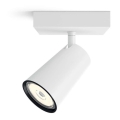 Philips - Bodové svítidlo 1xGU10/10W/230V