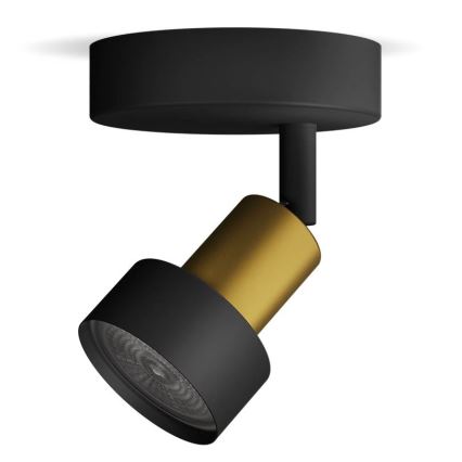 Philips - Bodové svítidlo CONDUIT 1xGU10/5W/230V černá/mosaz