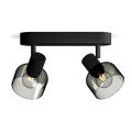 Philips - Bodové svítidlo SLEET 2xE14/25W/230V